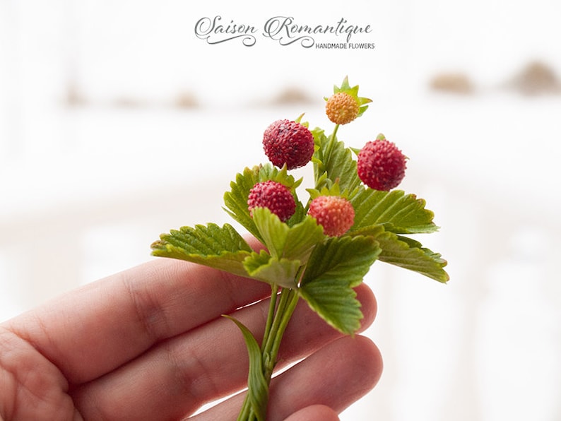 Mothers Day Gift for Women Earrings Red Gift For Her Berry Brooch Polymer Clay Flowers Brooch Wild strawberry