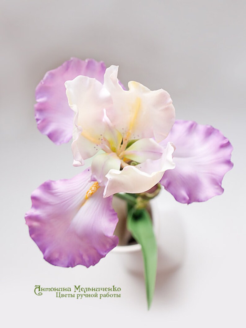 Iris Mothers Day Gift for Women Gift For Her Flower Iris Etsy