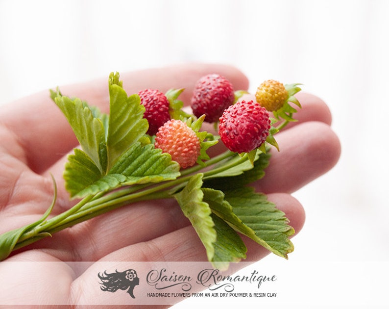 Mothers Day Gift for Women Earrings Red Gift For Her Berry Brooch Polymer Clay Flowers Brooch Wild strawberry