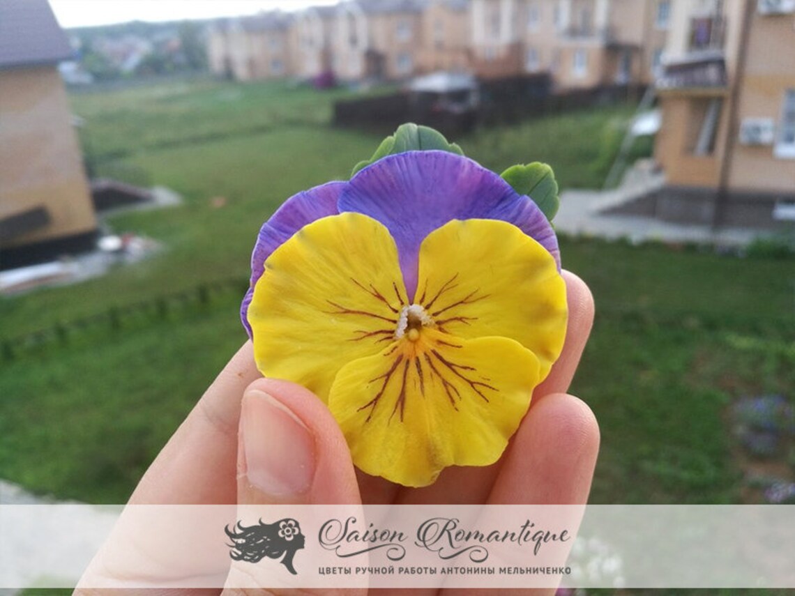 Brooch Pansy Polymer Clay Flowers Mothers Day Gift for Etsy