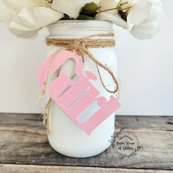 Girl Baby Shower / Baby Shower Decorations / Gilr Mason Jar Tags / Gender Reveal / Baby Shower