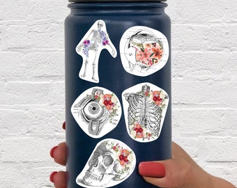Anatomy Stickers for Hydroflask - Anatomical Decals Gift for Doctors and Medical Students - Floral Skull Skeleton Eye Laptop Retro Stickers