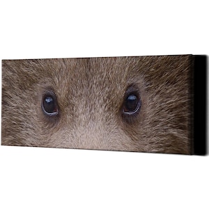 Bear Eyes Wall Art Canvas Decor - Black Wildlife Animal Large Pictures Room Painting Print Portrait - Grizzly Bears Head Framed Picture