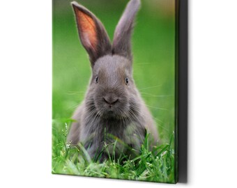 Baby Bunny Wall Art Canvas - Cute Kid Rabbit Nursery Decor Picture - Girl Room Framed Animal Print - Large Decoration Photo Painting