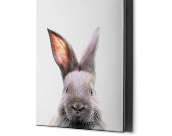 Baby Bunny Wall Art Canvas - Cute Kid Rabbit Nursery Decor Picture - Girl Room Framed Animal Print - Large Decoration Photo Painting