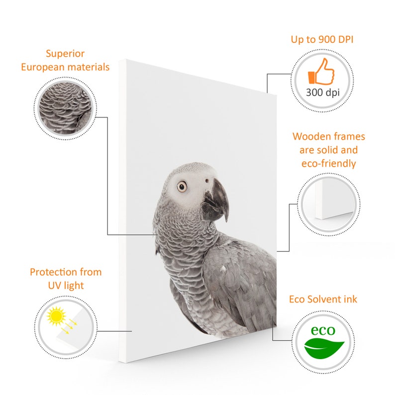 May include: A close-up of a gray parrot printed on a white canvas. The canvas is framed with a wooden frame. The image is printed with eco-friendly solvent ink and is protected from UV light. The print is up to 900 DPI.