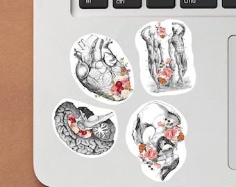 Anatomy Stickers for Hydroflask - Anatomical Decals for Science Lovers and Medical Students - Floral Heart Brain Skeleton Laptop Stickers