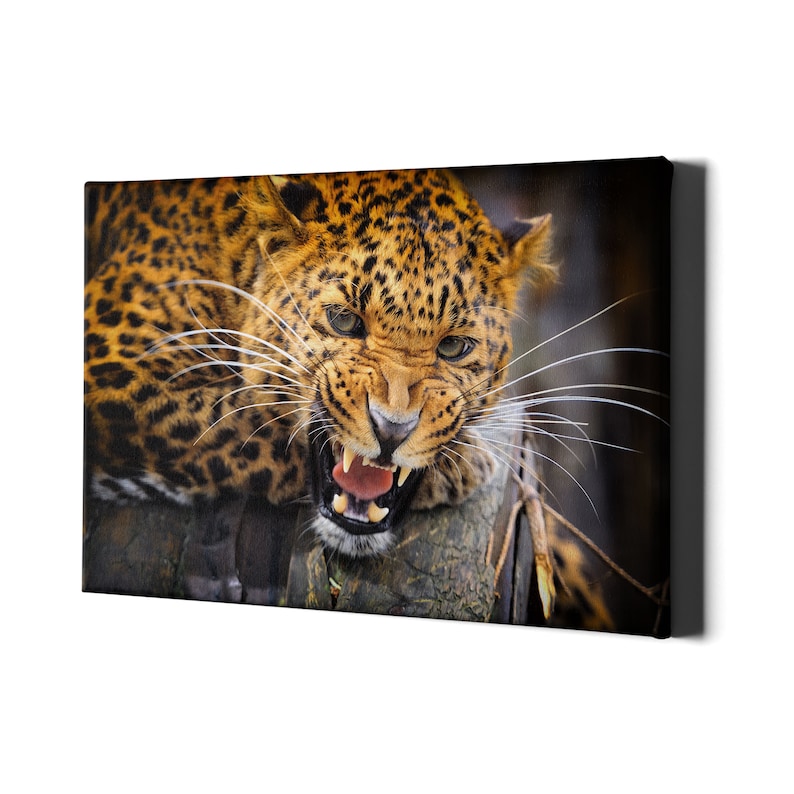 Jaguar Wall Art Black Canvas African Wild Leopard Animal Etsy