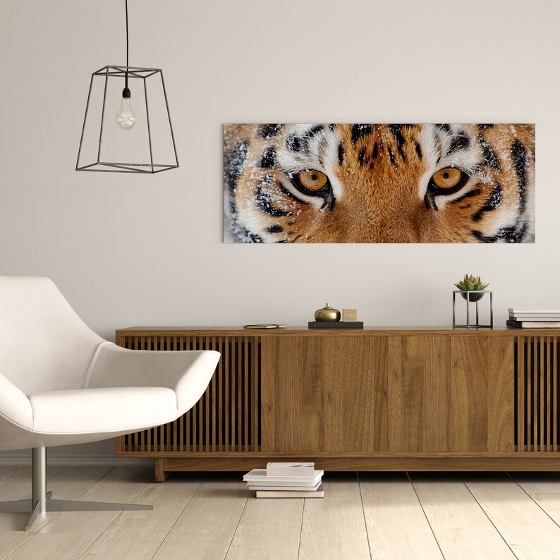 May include: Close-up of a tiger's face with snow on its fur. The tiger's eyes are focused on the viewer.