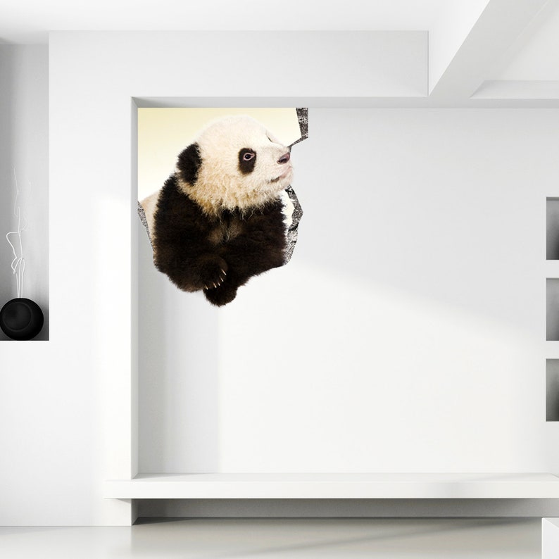 May include: A black and white panda bear cub peeking out of a hole in a white wall. The panda is looking to the right.