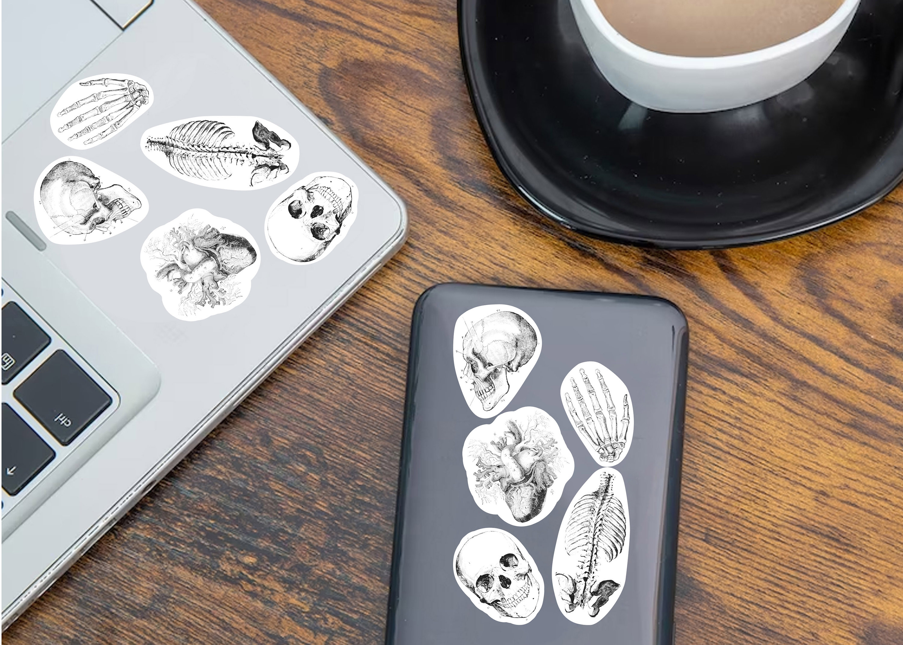 Anatomy Skeleton Decals - Medical School Decor - Anatomy Stickers ...