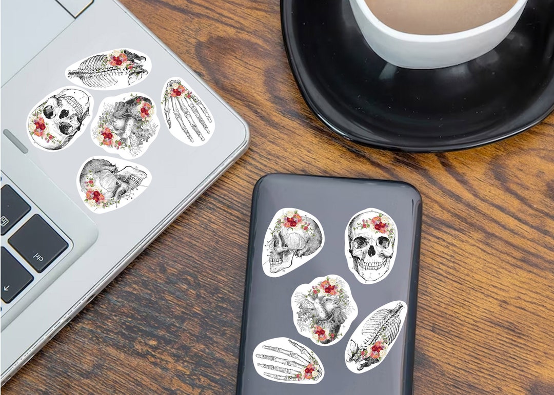 Anatomy Skeleton Decals - Medical School Decor - Anatomy Stickers ...