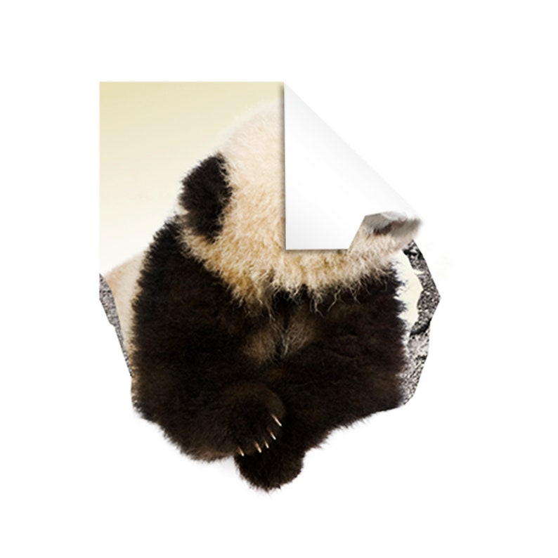 May include: A black and white baby panda bear sitting on a rock. The panda is looking to the right and has its paws tucked under its body.