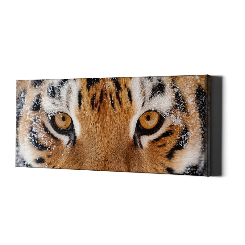 May include: Close-up of a tiger's face with orange and black stripes. The tiger's eyes are bright yellow and the fur is covered in snow.