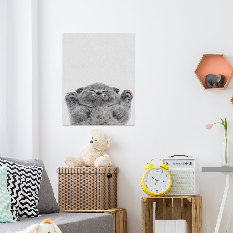 Baby Cat Wall Canvas Kid Girl Room Art Decor Kitty Lover Etsy