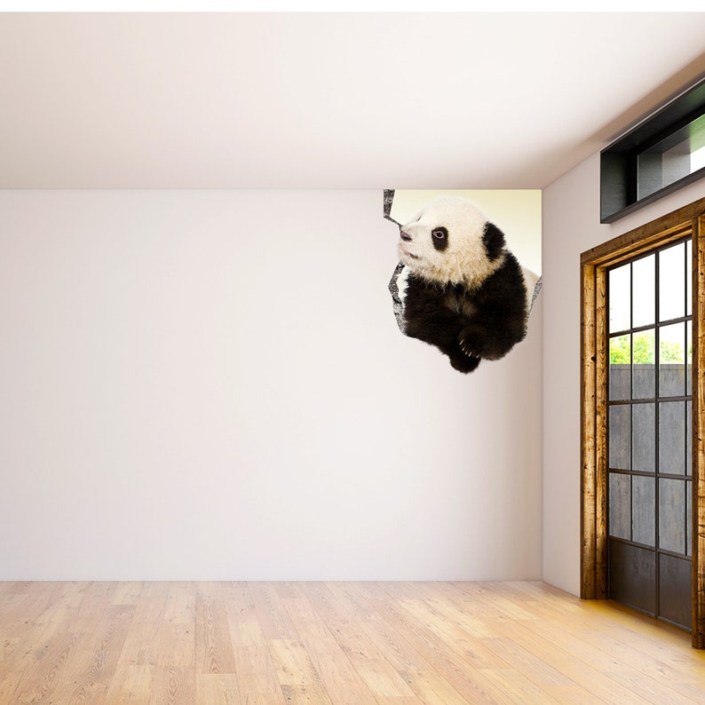 May include: A black and white panda bear cub peeking out of a hole in a white wall. The panda is looking to the left of the image.