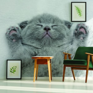 Adhesivo de vinilo para pared con diseño de gato, para decoración de dormitorio, hogar, despegar y pegar, extraíble, diseño de gatito gris, decoración de habitación con lindo gatito