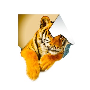 3d Tiger Sticker - Tiger Porthole Decoration Wall Decal For Bedroom- Boy Room Optical Illusion Of Crack - The Peel And Stick Kid Art image 2