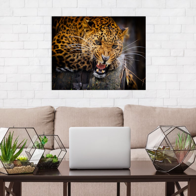 Jaguar Wall Art Black Canvas African Wild Leopard Animal Etsy