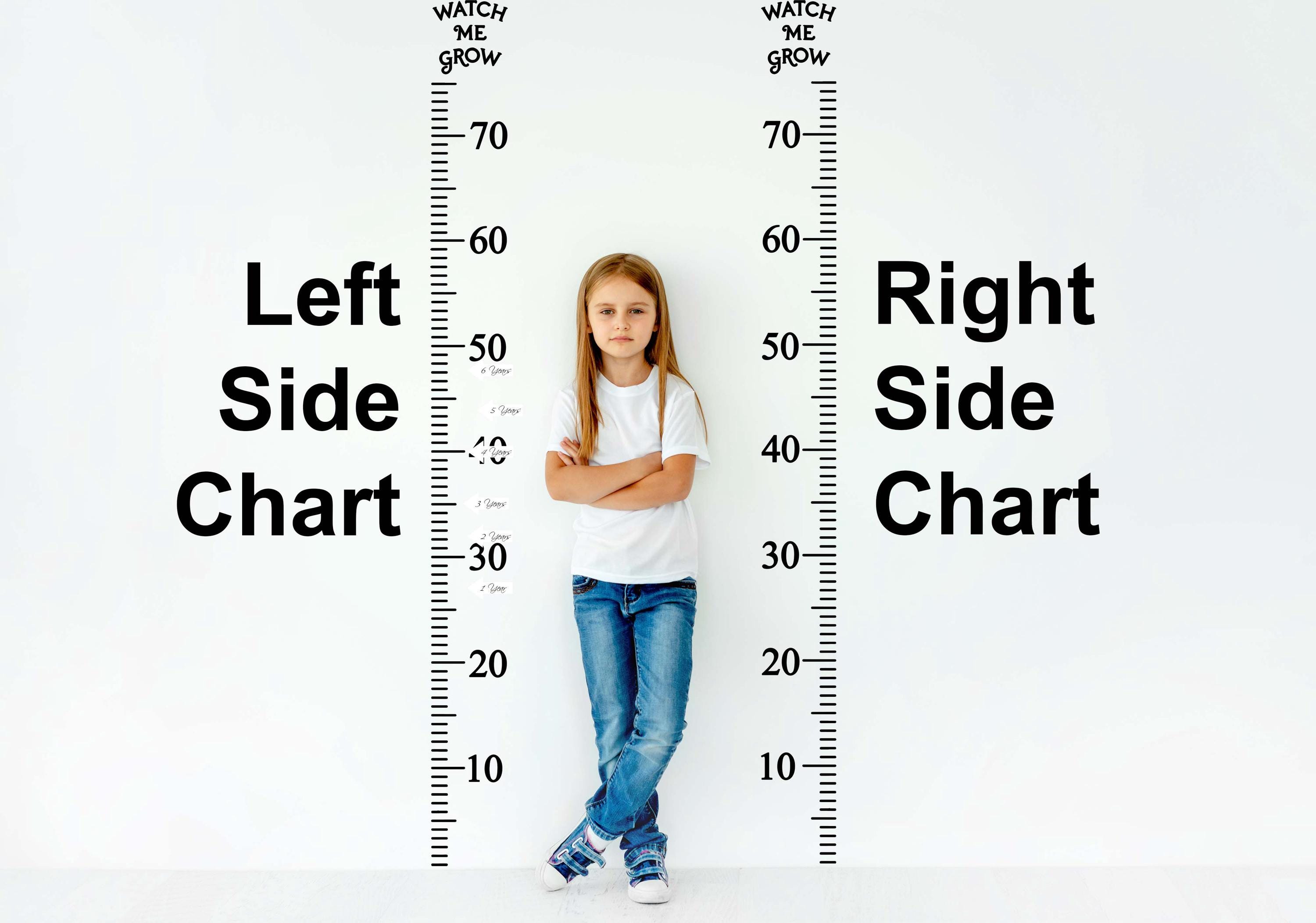 Inches Growth Chart Ruler Vinyl Wall Decal - DIY Child Height Measure ...