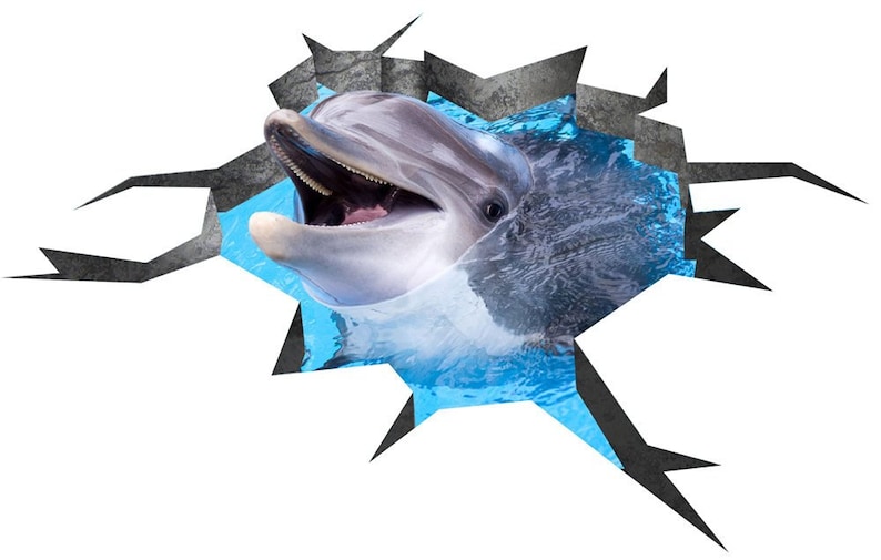 May include: A gray dolphin with an open mouth jumps out of a blue pool of water through a cracked gray wall.