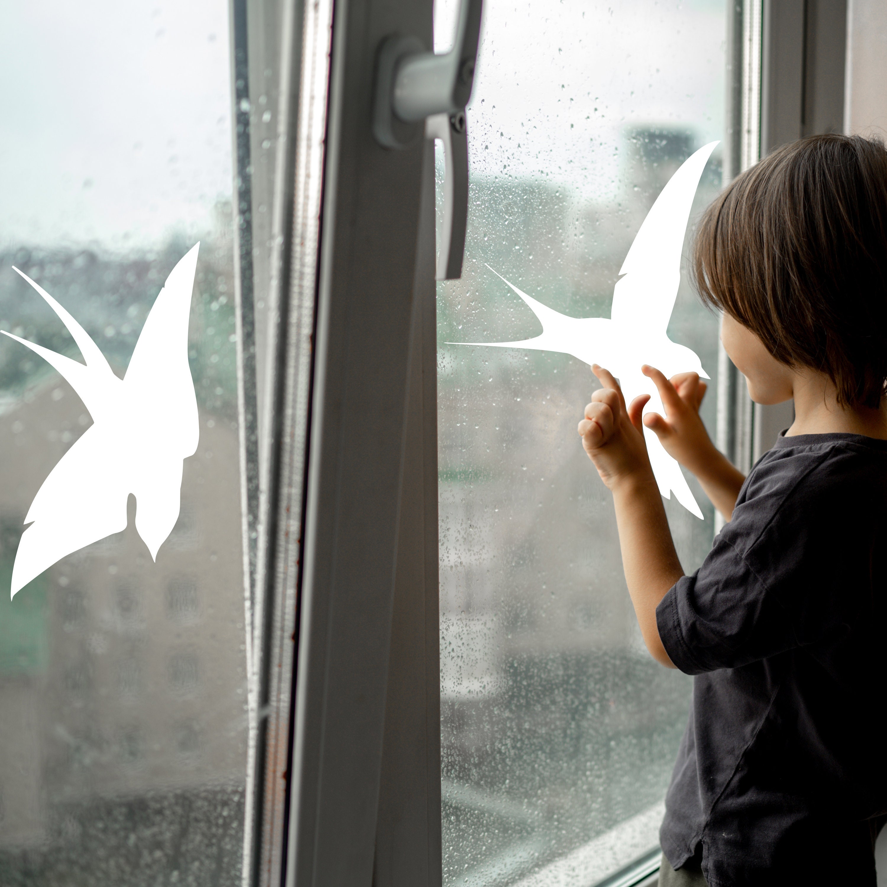 Anti-Vogel-Kollision Aufkleber auf einem Fenster, um Vögel zu