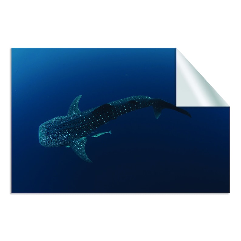 Underwater 3d Decor Wall Paper Removable Sticker Ocean Shark Wallpaper Art Decal Large Blue Water Photo Sea Boy Room Covering Mural