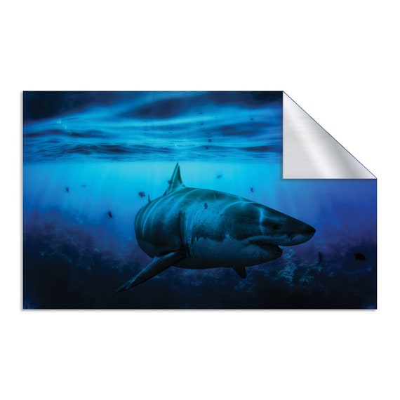 3D Ocean Shark 73 Wall Murals Stickers Decal breakthrough AJ WALLPAPER AU Kyra