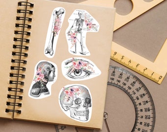 Anatomiklistermärken för hydrokolv - Anatomiska dekaler present till läkare och läkarstudenter - Blommig skalle, skelett, ben laptopklistermärken