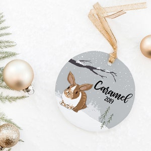 Bunny Ornament, Personalized Bunny Gift, Bunny Christmas Ornament, Bunny Gift, Gift for Bunny Lover, Rabbit Gifts, Rabbit Ornaments