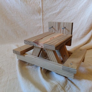 Mesa de picnic de ardilla