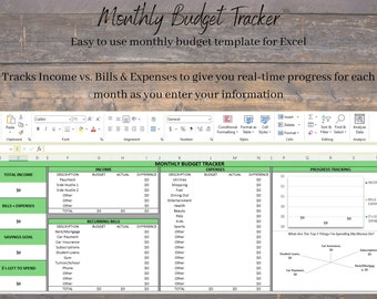 Monthly Budget Tracker Template - Green Color, Excel Spreadsheet, Budget Template, Monthly Budget, Expense Tracker