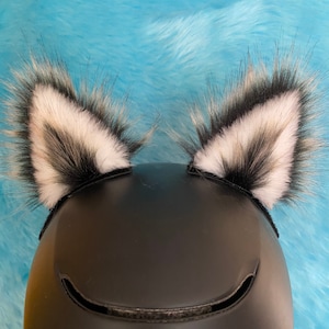 Bergsvarg eller hundöron. Som fastnar på (din hjälm)! Skidor, snowboard, motorcykel, scooter, skateboard, cykel, pannband etc. Var vild!!