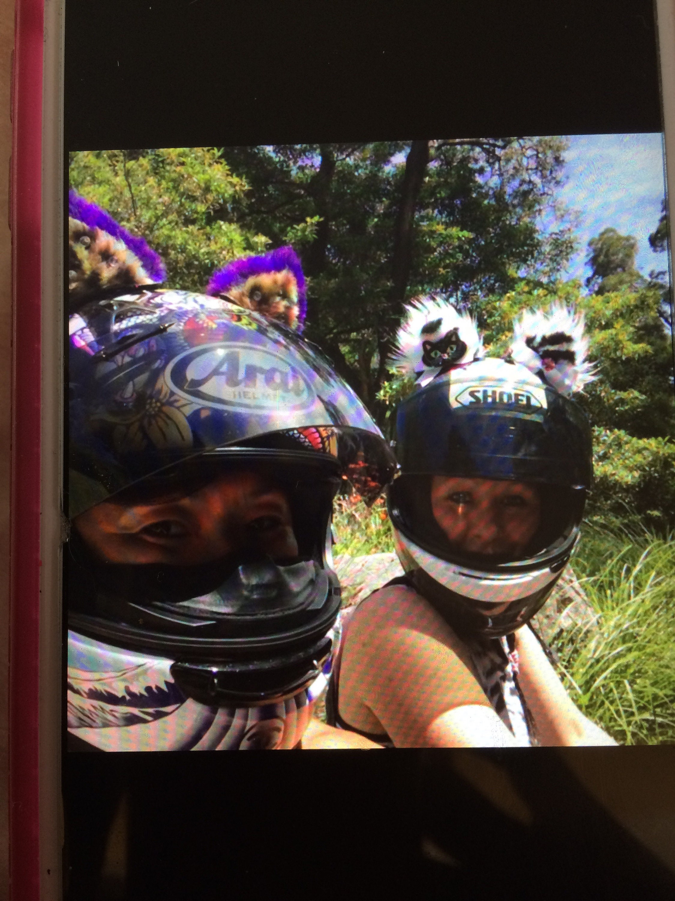 Orecchie Da Gatto Per Casco Moto - 2 Paia Rosa E Nero, Adesive, Per Caschi Curvi - Foto 9