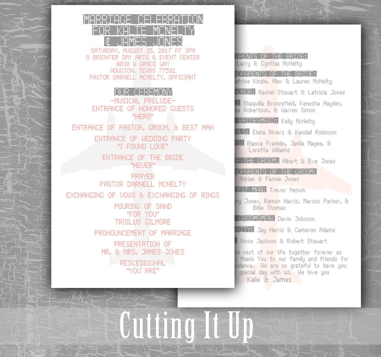 Airplane Wedding Ceremony Booklet Destination Wedding Etsy