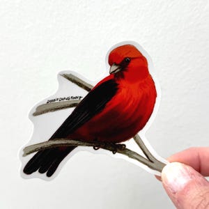 Scarlet Tanager Red Bird Vinyl Sticker, Waterproof Bird Lover Decal