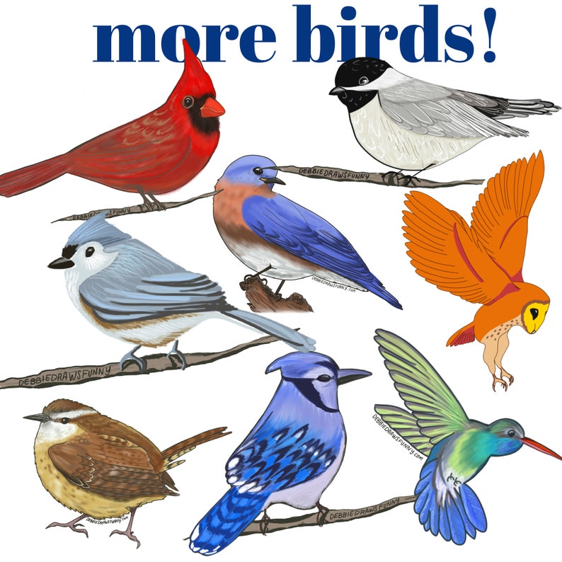 May include: A colorful illustration of seven different birds, including a cardinal, blue jay, chickadee, hummingbird, bluebird, wren, and owl. The birds are perched on branches and the text "more birds!" is written in blue at the top of the image.