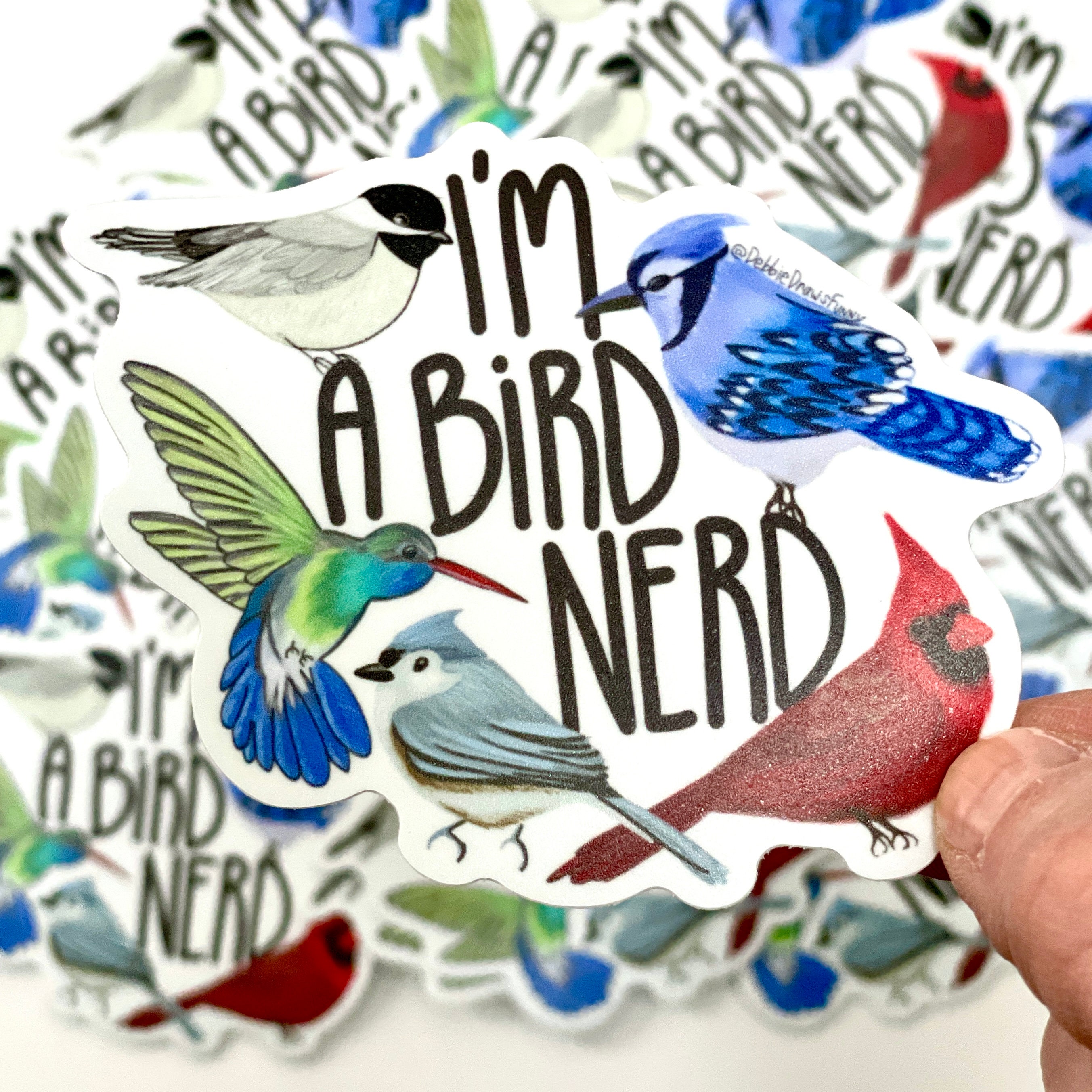 Bird Nerd Vinyl Sticker, School Sticker, Kids Stickers, Teacher ...