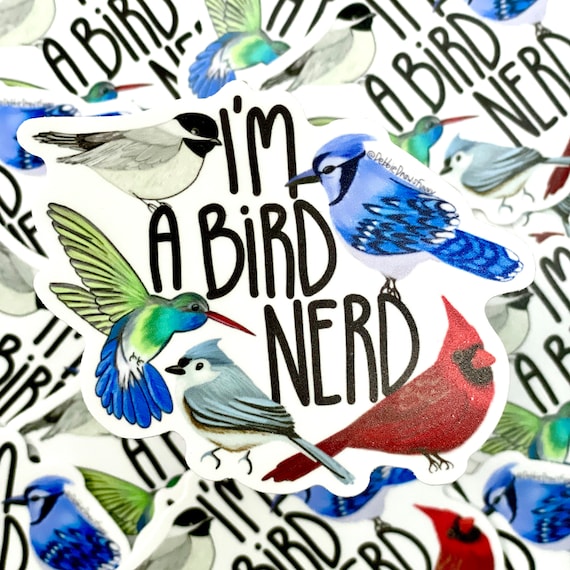Bird Nerd Vinyl Sticker, School Sticker, Kids Stickers, Teacher Stickers, Funny Sticker, Laptop Sticker, Water Bottle Sticker