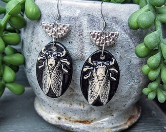 Black and White Cicada Beetle Handmade Ceramic Earrings, Stainless Steel hooks