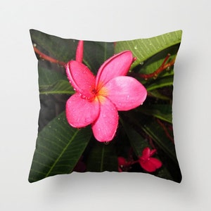 Puede incluir: Una flor de plumeria rosa con gotas de agua en sus p&eacute;talos, rodeada de hojas verdes.