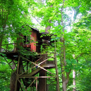 8X10 Birdhouse Treehouse Photo, Treehouse Photography, Treehouse Art, Landscape Art, Longwood Gardens, Treehouse Masters, Nature Home Decor