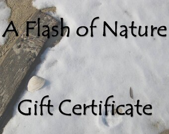 Gift Certificate for Nature Photography, 8x10 Photo, Unique iPhone Case, Gift Card, Housewarming, Geek Gift, Gift for Him, Gift for Mom
