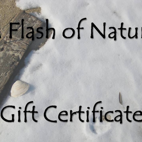 Gift Certificate for Nature Photography, 8x10 Photo, Unique iPhone Case, Gift Card, Housewarming, Geek Gift, Gift for Him, Gift for Mom