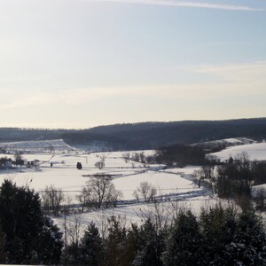 May include: A snowy landscape with a forest in the background and a field of snow in the foreground. There are trees scattered throughout the field.
