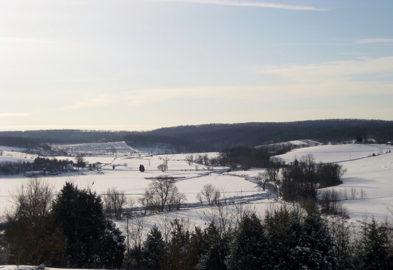May include: A snowy landscape with a forest in the background and a field of snow in the foreground. There are trees scattered throughout the field.