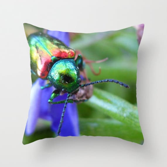 Beetle Pillow, Insect Pillow, Photo Pillow Case, Rainbow Pillowcase, Macro Entomology Pillow, Canvas Throw Pillow, 16X16 Pillow Cover, 18X18