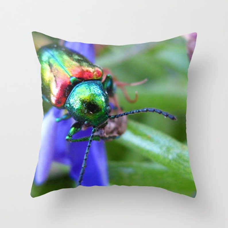 Beetle Pillow Insect Pillow Photo Pillow Case Rainbow Etsy