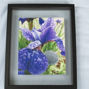 Purple Iris Photo, 8X10 print , Spring Rain Photography, Iris Print, Dew Drop, Photo Wall Art, Nature Home Decor, Gift for Mom, Macro Photo image 2