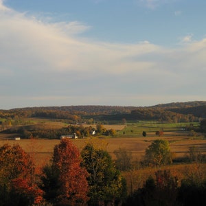 May include: A scenic view of a rural landscape with rolling hills, fields, and trees in various shades of green and brown. The sky is a light blue with white clouds.